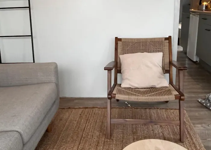 Houseboat Oslo Perfect Voor Bezoek Amsterdam 船屋 莫尼肯达姆